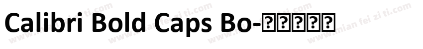 Calibri Bold Caps Bo字体转换